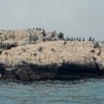 Cazare Băltenii de Sus în Delta Dunării – liniște și peisaje