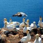 Cum crești CTR-ul organic fără să modifici pozițiile în Google